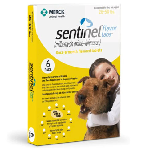 Heartworm Prevention